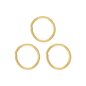 Blue Banana Pvd Gold 3 Pack Assorted Seamless Nose Ring (Gold)| Body Piercing jewelry