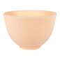 Blue Banana Hair Dye Tint Bowl (Apricot) | Hair Dye Accessories