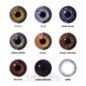 Two Tone Grey Circle 1 Day Coloured Lenses, Cosplay Contacts