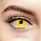 Gelbe Cosplay Farblinsen (Tageslinsen) | Coloured Contacts