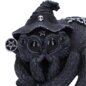 Nemesis Now Arachnias Occult Cutie (8cm) | Blue Banana