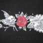 Ed Hardy Death Or Glory T-Shirt (Black) | Alternative Fashion, Goth Clothing