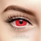 Mini Sclera 1 Day Tageskontaktlinsen in Rot, Coloured Contacts UK