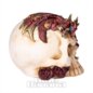 Nemesis Now Llama Rosa Adorno De Calavera (Blanco/Rojo) | Blue Banana