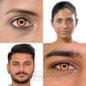 Wild Fire 1 Tag Rote Farbige Kontaktlinsen, Coloured Contacts UK