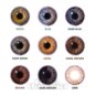 Soft Tri Tone Grey 30 Day Coloured Contact Lenses