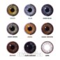 Tri Tone Silver Storm 1 Day Coloured Lenses, Natural Grey Contacts