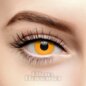 Orange Pumpkin Coloured Contact Lenses (30 Day) | Coloured Contacts