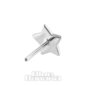 Blue Banana 14K White Gold Star Threadless Top (White Gold) | Blue Banana Piercing
