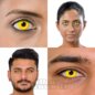 Gelbe Cosplay Farblinsen (Tageslinsen) | Coloured Contacts