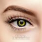 Schwarzer Wolf Halloween Farbige Kontaktlinsen (Tageslinsen) | Coloured Contacts