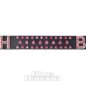 Blue Banana Bitch Belt (Black/Pink) | Blue Banana