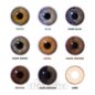 Honey Glaze Hazel Brown Coloured Contact Lenses | Natural Lens