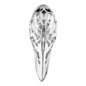 Blue Banana Threadless Surgical Steel Large Crow Ear Weight (Silver)