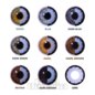 Lestat Vampire Coloured Contact Lenses | Monthly Costume Contact Lenses
