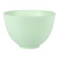 Blue Banana Hair Dye Tint Bowl (Green) | Hair Dye Accessories