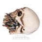 Nemesis Now Bite The Bullet Skull Ornament | Blue Banana