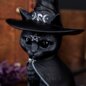 Nemesis Now Purrah Figurine | Occult Witches Hat Cat