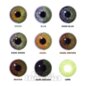 Lenti a contatto colorate graduate Leaf Green da 30 giorni | Lenti graduate naturali