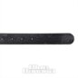Blue Banana Queen Of Fucking Everything Belt (Black) | Blue Banana