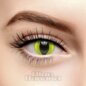 Uv I-Glow Cat's Eye Daily Contact Lenses, Animal Costume Contacts