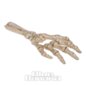 Alchemy Gothic Skeletal Hand Flaschenöffner (Weiß)