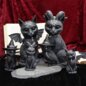 Nemesis Now Estatuilla de Gato 'Pawzuph' - 26.5cm